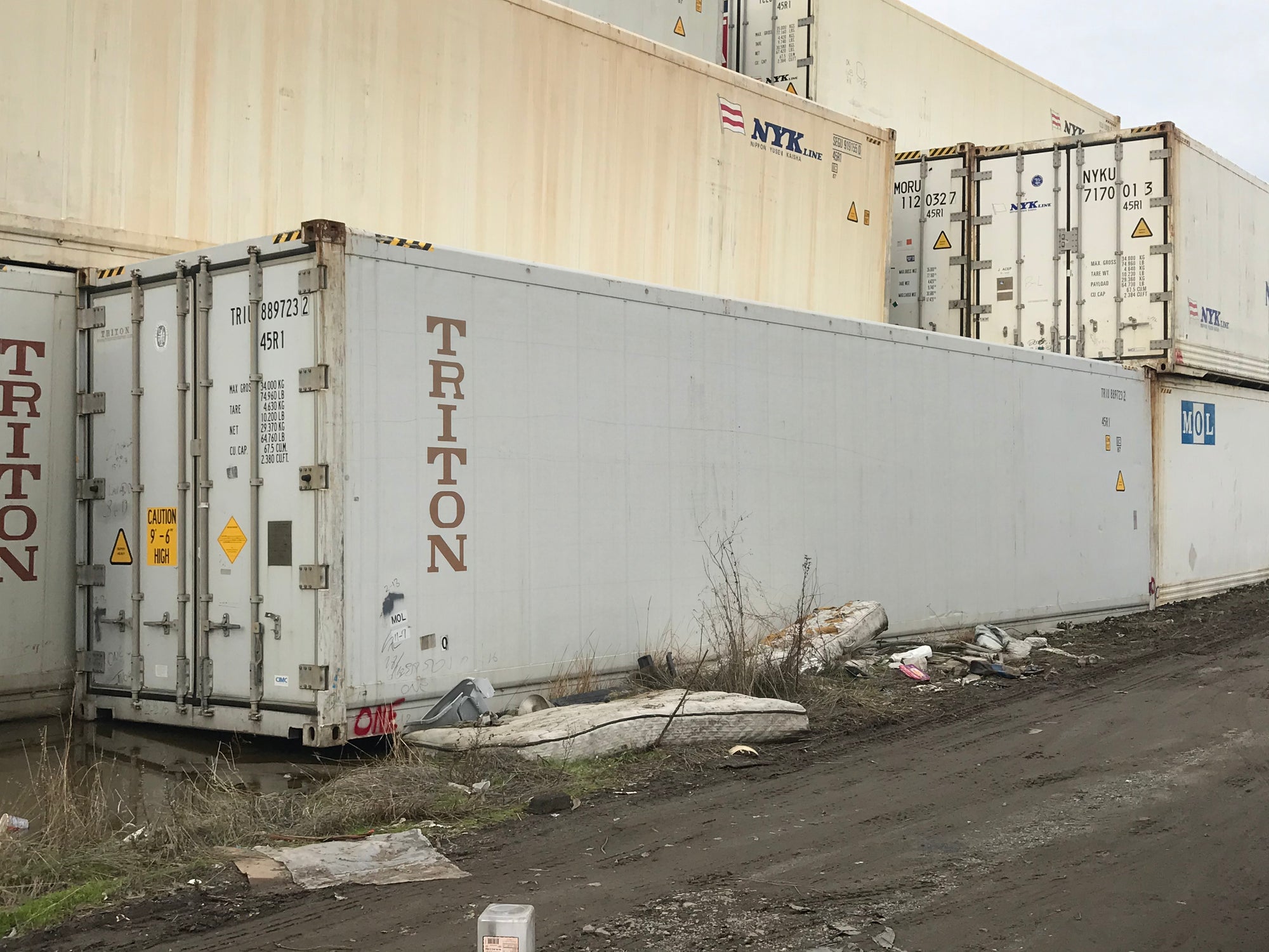 40' Foot HC Insulated/Non-working and Working Reefer Specialty Containers
